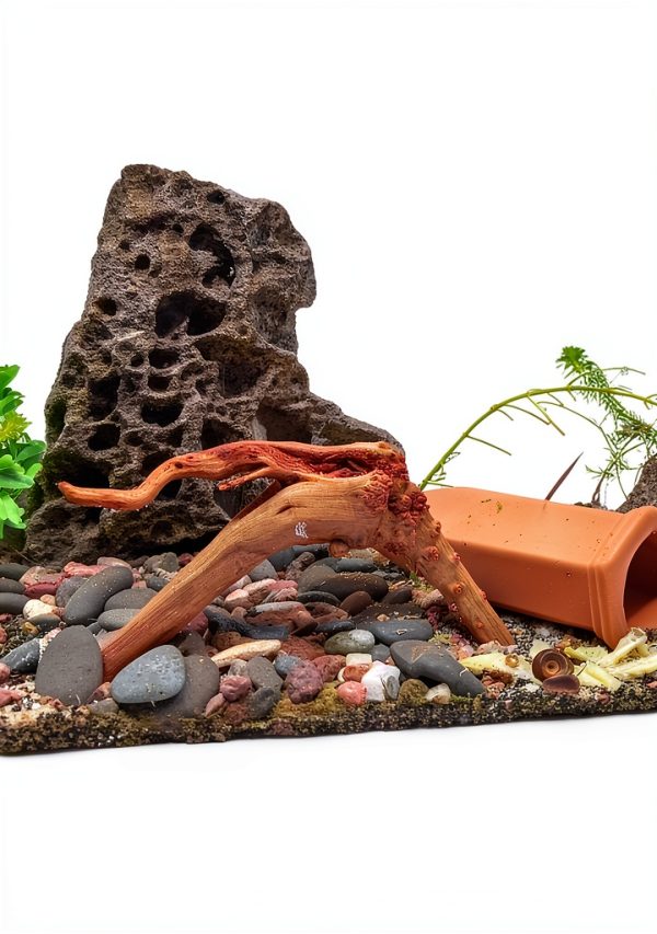 Natural Small Spiderwood Driftwood 10pcs 5-6in Aquarium Décor by-1
