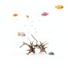 Aquarium Driftwood Branches Tustao Wood Décor Fish Tank 8-10cm-5