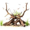 Aquarium Driftwood Branches Dwuww 2-Piece Natural Wood Décor 8-10cm-4
