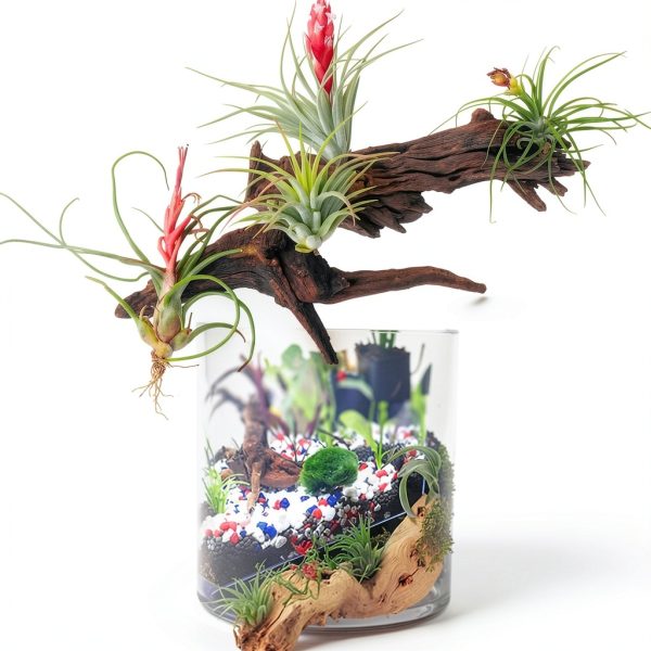 Tfwadmx 5PCS Aquarium Driftwood Branches 4''-7.8'' Reptiles Trunk Natural Wood Fish Tank Decoration Plant Stump Ornament Decor Assorted-5