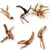 Natural Small Spiderwood Driftwood 10pcs 5-6in Aquarium Décor by-2