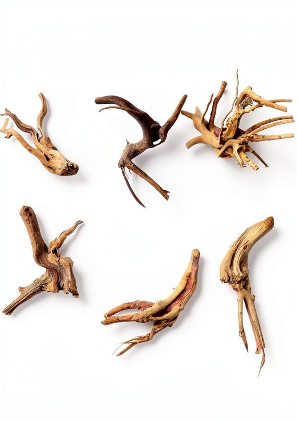 Natural Small Spiderwood Driftwood 10pcs 5-6in Aquarium Décor by-2