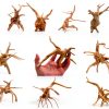 Natural Small Spiderwood Driftwood 10pcs 5-6in Aquarium Décor by-0