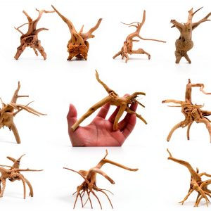 Natural Small Spiderwood Driftwood 10pcs 5-6in Aquarium Décor by-0