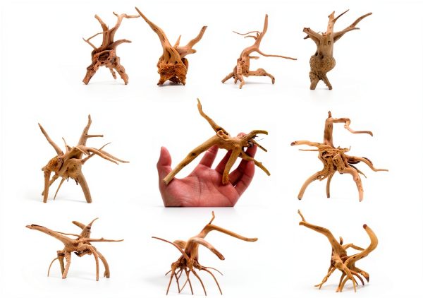 Natural Small Spiderwood Driftwood 10pcs 5-6in Aquarium Décor by-0