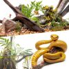 5-Piece 4-8 Inches Natural Aquarium Driftwood Decorations - Aquascape Decor for Fish Tanks, Betta Hideouts, Reptile Enclosures & Plant Attachment-4