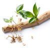 Aquarium Driftwood Branches Dwuww 2-Piece Natural Wood Décor 8-10cm-1