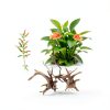 Aquarium Driftwood Branches Tustao Wood Décor Fish Tank 8-10cm-7