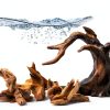 Aquarium Driftwood Decor Set - 1 Anubias Resin Model & 3Pcs Small Natural Driftwood 2-4 inch for Aquascaping, Fish Tank Landscape Design-4