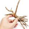 Natural Small Spiderwood Driftwood 10pcs 5-6in Aquarium Décor by-3
