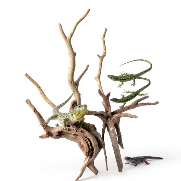 Tfwadmx Aquarium Driftwood Natural Wood 4''-7'' Reptile Branch Fish Tank Tree Plant Stump Ornament Decor 4 PCS-4