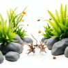 Aquarium Driftwood Branches Tustao Wood Décor Fish Tank 8-10cm-1