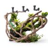 Spider Wood for Aquarium by kathson Driftwood with Bendable Vine-3