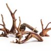 kathson Aquarium Driftwood Reptile Branches Wood Natural Spiderwood Driftwood for Aquarium 5-6" 11 Pcs Terrarium Ornament Trunk Fish Tank Log Habitat Decoration Tree Stump Decor Assorted Sizes Wood-5