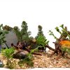 Natural Small Spiderwood Driftwood 10pcs 5-6in Aquarium Décor by-5