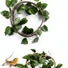 Spider Wood for Aquarium by kathson Driftwood with Bendable Vine-4