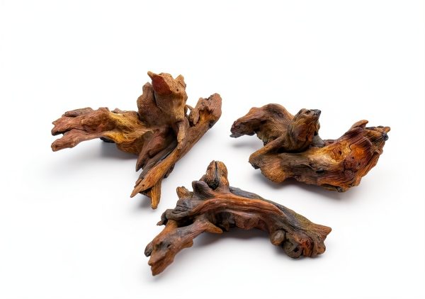 Aquarium Driftwood Decor Set - 1 Anubias Resin Model & 3Pcs Small Natural Driftwood 2-4 inch for Aquascaping, Fish Tank Landscape Design-3