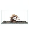 Ultum Nature Systems Bonsai – Handcrafted Driftwood for Aquarium, Tree Shape Aquarium Decor, Fish Tank Decorations, Terrarium Decor, Aquascaping Hardscape for Freshwater & Nano Tank - 021, X Small-6
