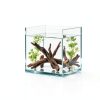 Natural Aquarium Driftwood awenyzen 4 pcs 4-8in Wood Branches for Tank-3