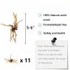 kathson Aquarium Driftwood Reptile Branches Wood Natural Spiderwood Driftwood for Aquarium 5-6" 11 Pcs Terrarium Ornament Trunk Fish Tank Log Habitat Decoration Tree Stump Decor Assorted Sizes Wood-1