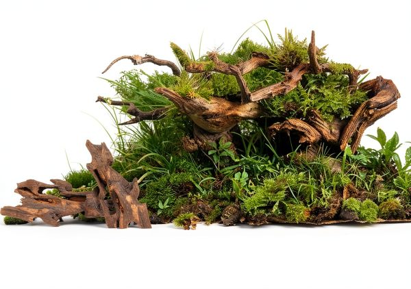 4-Piece Aquarium Driftwood Set - Natural Wood Decorations for Fish Tanks | Solid Reptile Branches, Ideal for Small Fish Hiding & Habitat Enhancement-5