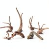 Tfwadmx Aquarium Driftwood Natural Wood 4''-7'' Reptile Branch Fish Tank Tree Plant Stump Ornament Decor 4 PCS-6
