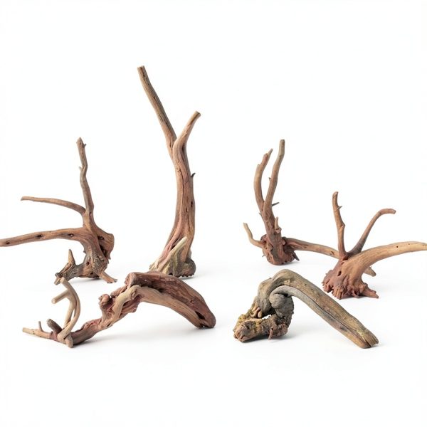 Tfwadmx Aquarium Driftwood Natural Wood 4''-7'' Reptile Branch Fish Tank Tree Plant Stump Ornament Decor 4 PCS-6