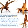 Natural Driftwood 8-Piece Set Vmiapxo Aquarium Décor Spider Wood 4‑6″-1