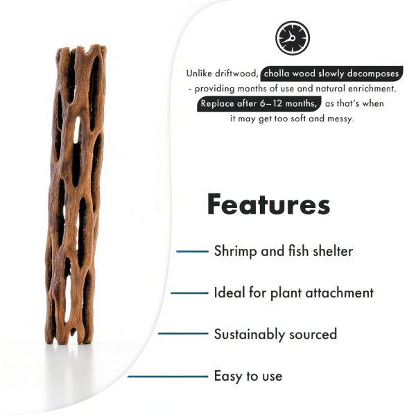 SubstrateSource Cholla Wood Driftwood Set for Aquariums-2