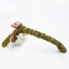 Hermit Crab Climbing Toys by Jinymral Adjustable Décor Accessory-3