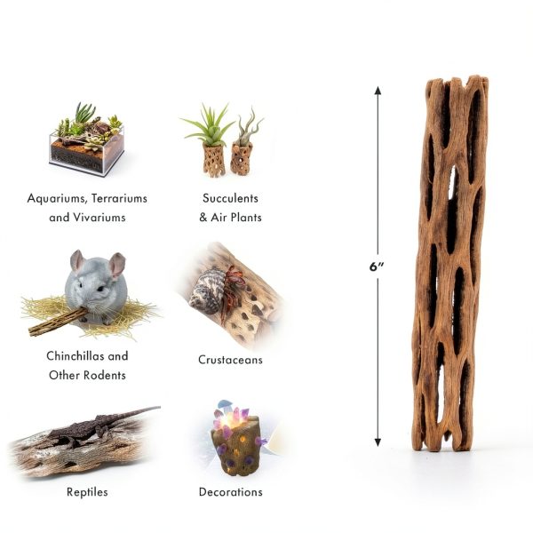 SubstrateSource Cholla Wood Driftwood Set for Aquariums-3