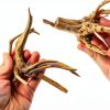 Natural Driftwood 8-Piece Set Vmiapxo Aquarium Décor Spider Wood 4‑6″-6
