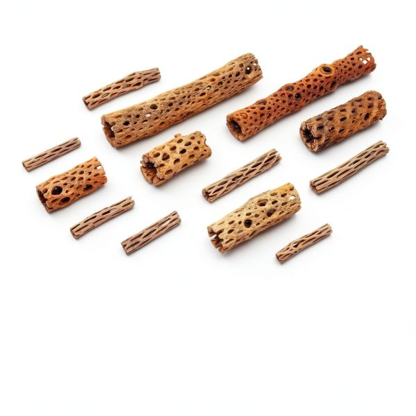 SubstrateSource Cholla Wood Driftwood Set for Aquariums-6