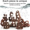Natural Wood Aquarium Cave by redfeiyang – Multi‑Hole Hideout 7‑9″-1