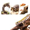 Natural Driftwood Aquarium Décor EFFIELER 7‑11 Inch 3‑Pack Mopani Wood-5